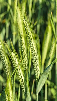 家長要學會關注孩子的心理健康