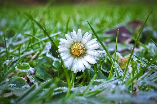 當我談論高考的時候,我究竟在說些什么