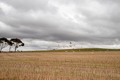 �߿�Ӣ�Z���������E���ھ����� ҧ�Ľ��~