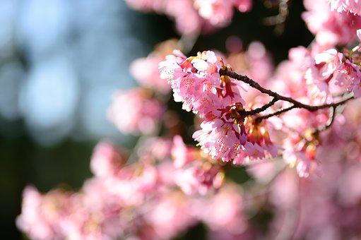 父母是孩子的老師,孩子也是父母的老師