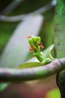 教育部解讀未來高考 建多方位多層次評價體系