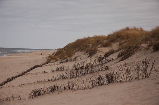 開學前兩周“收心”黃金期 你的孩子調整好了嗎