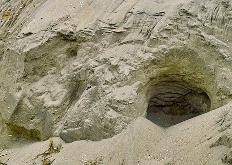 語文閱讀答題技巧