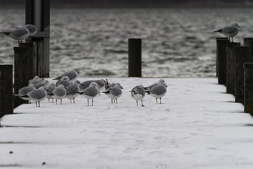 高一學生周末玩手機問題的解決方法