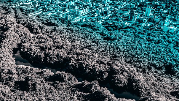 十招教你提高孩子的英語寫作能力