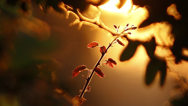 家長必讀:如何正確引導孩子走出“早戀”漩渦