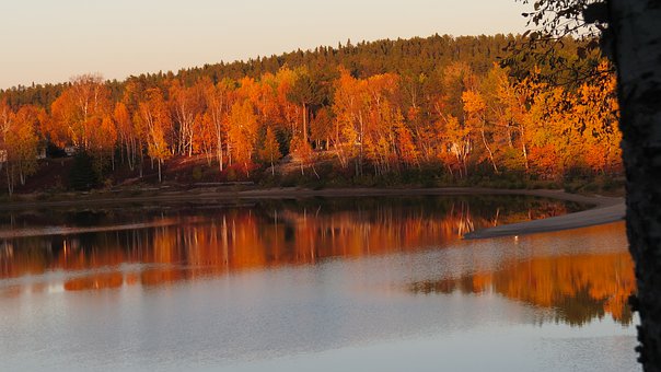 家長警惕:過早學外語孩子易患大舌頭