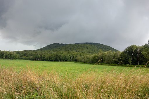 什么是兒童美術教育