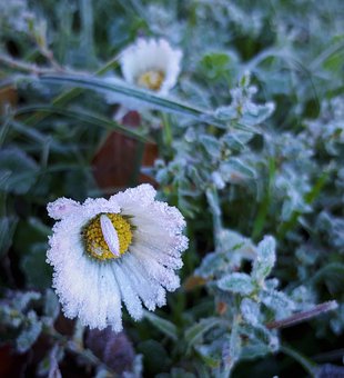 盤點歷年關注度最高的八大本科專業