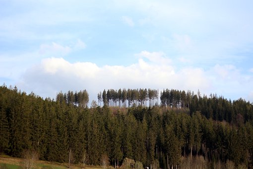 雅思口語考試備考:抓住基本考點 用心準備