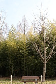 孩子初二成績下降怎么辦