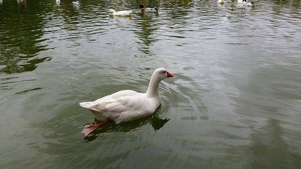 孩子沉迷游戲偷錢充值怎么辦