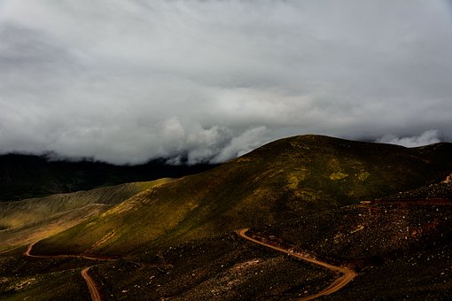 ��Ύ������ӿ���Ƣ�Ⱪ����