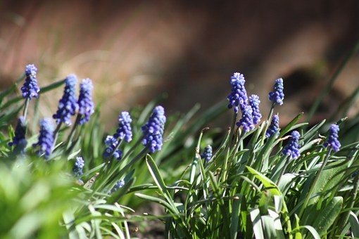 多識字不意味孩子智商高