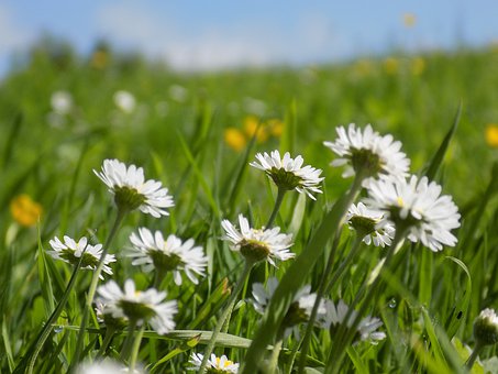 2012年北京房山區(qū)初三化學一模試題及答案