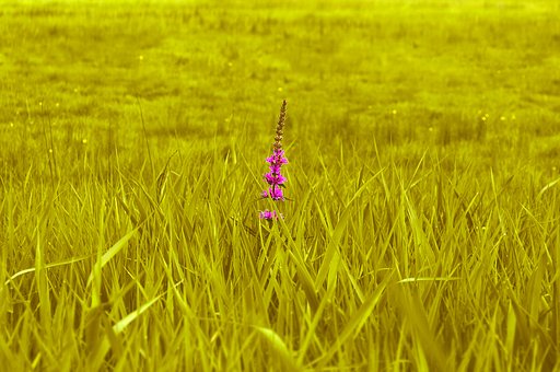 ���2013�п�����ȱ�ٵ����c�P�I��������