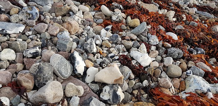 2011年高考語文四類作文備戰技巧