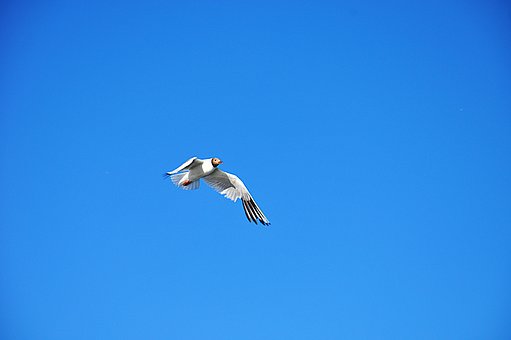 十歲孩子叛逆的表現