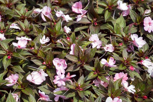 上不了本科,該怎么選?這5大專業,學好也不差!