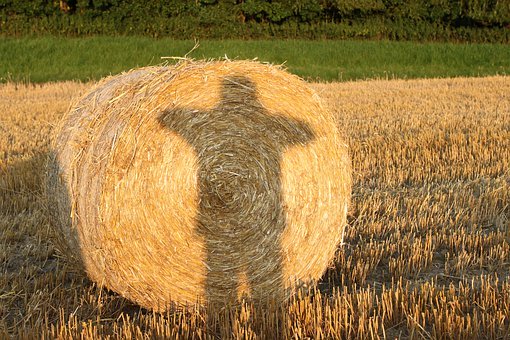 大學畢業生求職就業 企業為何招而不聘