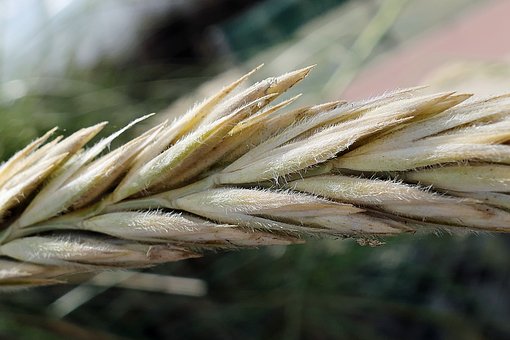 ���������o�һ��Ҫ���պ����c��