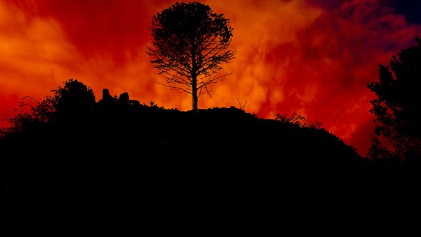 高考單項選擇題的命題思路