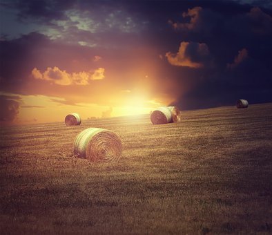 如何讓你的記敘文得高分