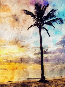 2011空軍招飛江蘇初檢辦法出臺 報名條件公布