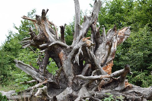 通過精讀提高雅思閱讀和寫作兩分項的技巧