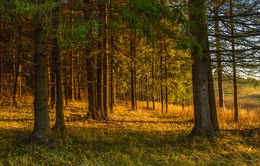 初二學生厭學怎么辦