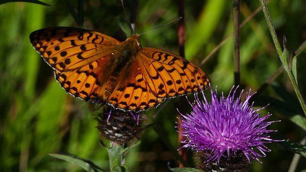 說說給孩子請家教須注意的8個問題