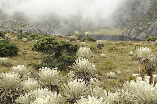 家有考生:說說我們家的后高考時代