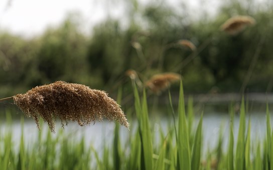 為什么明明很努力了,卻還是個學渣(細談學習方法)