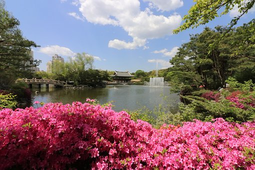 小學作文指導:作文頭尾用語