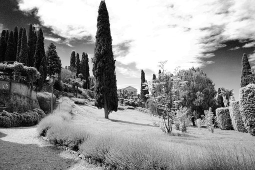 2011年度就業前景最不看好的10大本科專業