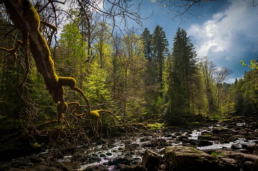家長必讀:12招養(yǎng)育出快樂的孩子