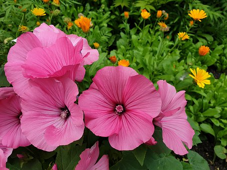 家長如何快速判斷家教老師適不適合自己的孩子?