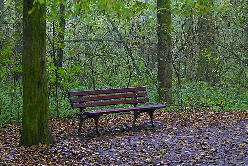 2008�걱���߿��f�����x����ԇ���ݷ�����׃