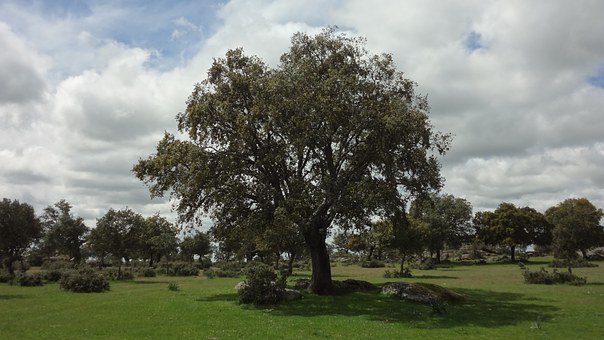 新高一生要做好初中和高中的銜接學(xué)習(xí)的準(zhǔn)備