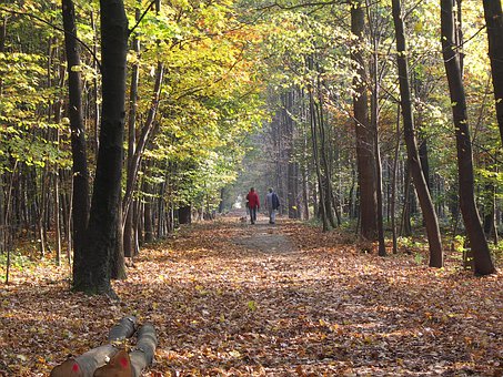 ����ָ�c������ɿ�����߷֔�