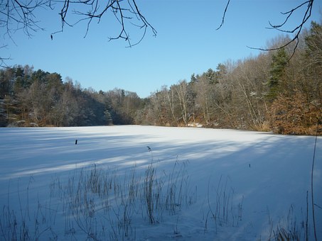 家長:嬌慣溺愛易教子誤入歧途