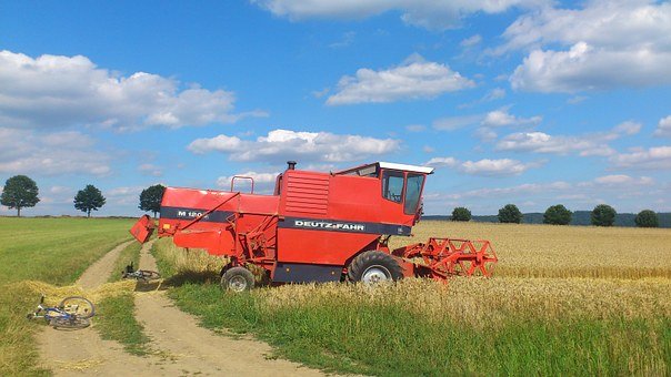 初三孩子情緒煩躁:家長如何正確應對和教育