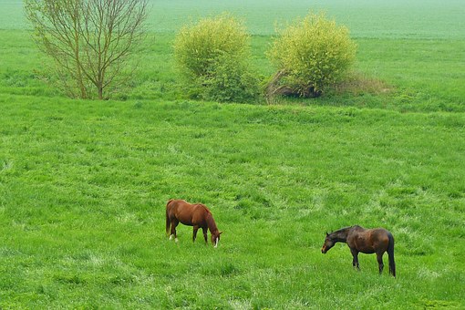 高二學生還是玩手機怎么辦