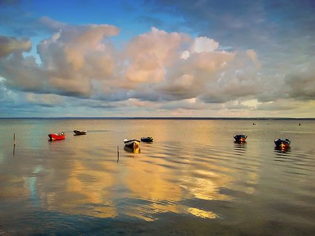 面對(duì)孩子小聰明 家長(zhǎng)要有大智慧