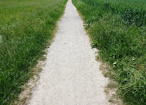 南方科大自授學位與文憑 你敢報考嗎?