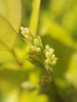 高中數學里都學了哪些函數?