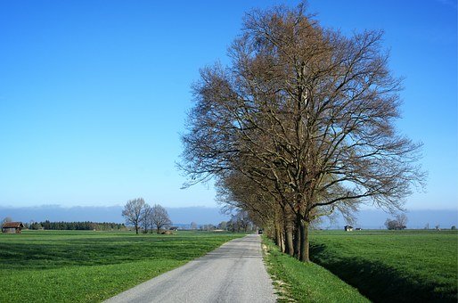 專家指導(dǎo):中小學(xué)開學(xué)三大“收心”法則