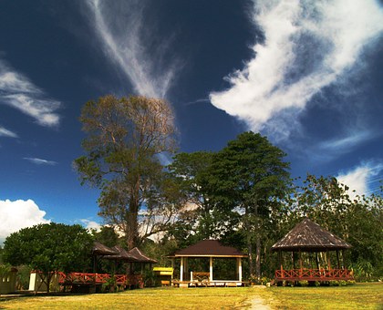 高考復習狂補弱科五方法