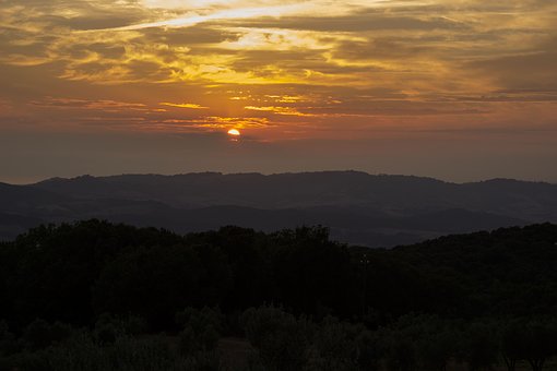 高校本科專業目錄啟動新一輪修訂