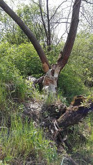 有效進(jìn)行時(shí)間管理 高考狀元教你復(fù)習(xí)安排